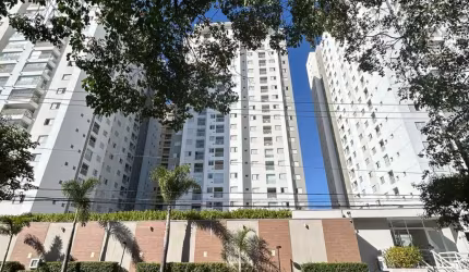 Apartamento 3 dormitórios São Caetano do Sul (vivacita)