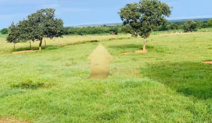 FAZENDA EM ROSÁRIO OESTE PERTO DO LAGO DO MANSO