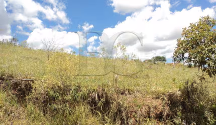 Terrenos Padrão em Poços de Caldas