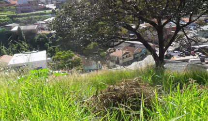 Terrenos Padrão em Poços de Caldas