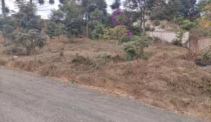 Terrenos Padrão em Caldas