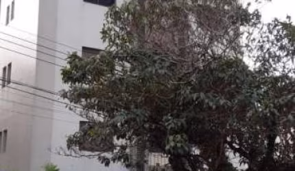 Apartamentos Padrão em Poços de Caldas
