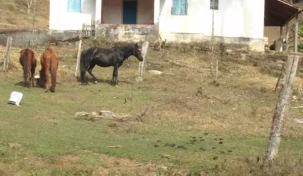 Rurais Fazenda em Caldas