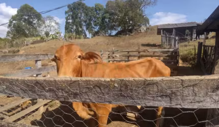 Rurais Sítio em Caldas