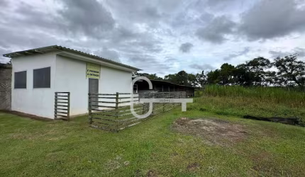Chácara com 2 dormitórios à venda, 6000 m² por R$ 500.000,00 - Vila Erminda - Peruíbe/SP