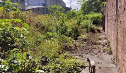 Lote / Terreno de Bairro Para Vender no bairro Atalaia em Aracaju