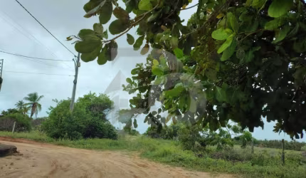 Lote / Terreno de Bairro Para Vender no Robalo em Aracaju
