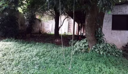 Terreno com Imóvel Antigo no Baeta Neves - São Bernardo do Campo