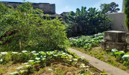 Terreno com Imóvel Antigo no Baeta Neves, São Bernardo do Campo