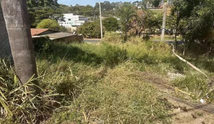 Terreno, Jardim Indianópolis - Campinas