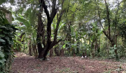 Terreno em Condomínio para Venda em Lauro de Freitas, Recreio Ipitanga