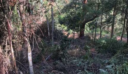 Terreno à venda, 880 m² por R$ 150.000,00 - Fazenda Suiça - Teresópolis/RJ