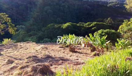 OPORTUNIDADE DE TERRENO NA FAZENDA SUIÇA