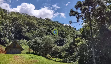 Excelente sítio a venda localizado na Colônia Santana, em São José.