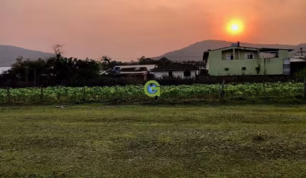 Terreno à venda Guarda do Cubatão Palhoça SC