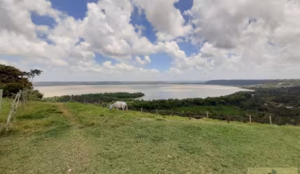 Terreno para Venda em Maceió, Santa Amélia