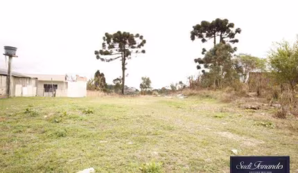 Área à venda, 1794 m² por R$ 420.000,00 - Borda Do Campo - São José dos Pinhais/PR