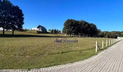 Terreno à venda, 4800 m² por R$ 1.100.000,00 - Campo Largo da Roseira - São José dos Pinhais/PR