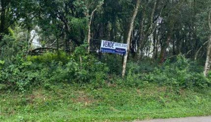 Terreno à venda, 824 m² por R$ 825.000,00 - Aristocrata - São José dos Pinhais/PR