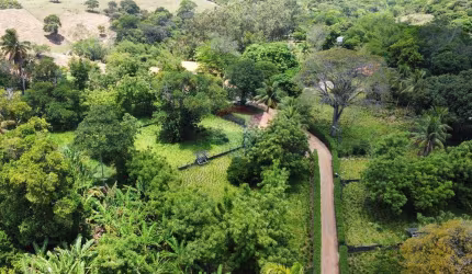Descubra o Refúgio dos seus sonhos: Granja / Haras no Conde/PB, com 11,4 hectares
