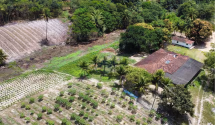 Granja/Sítio à venda no Conde, c/ 16 hectares e c/ 2 rios perenes