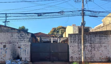 Galpão à venda, - Vila Tibério - Ribeirão Preto/SP