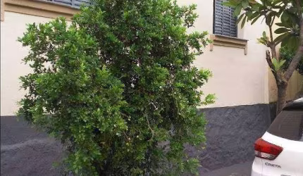 Casa à venda, Campos Elíseos - Ribeirão Preto/SP