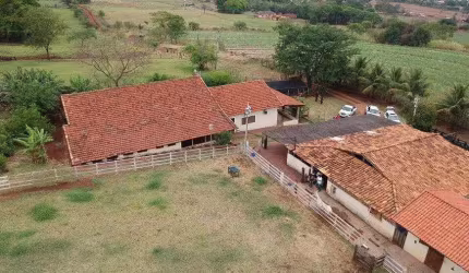 Sítio Haras Zona Rural - São Simão - SP