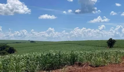 Fazenda de cana a venda 14 alqueires ao lado da Usina