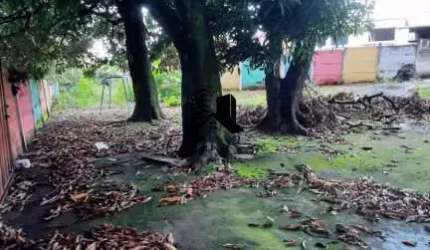 Lote à Venda no  Bairro Glória Belo Horizonte MG
