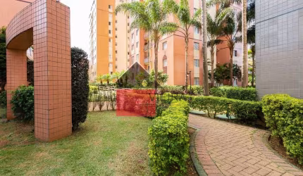 Apartamento à venda, Cambuci,  próximo Avenida Lins de Vasconcelos São Paulo, SP