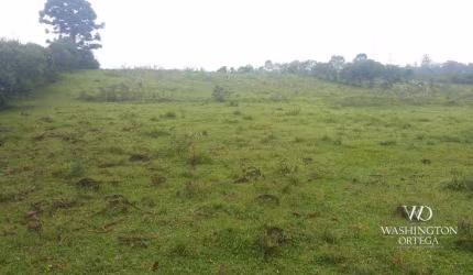 Terreno à venda, 41827 m² por R$ 9.000.000 - Colônia Murici - São José dos Pinhais/PR