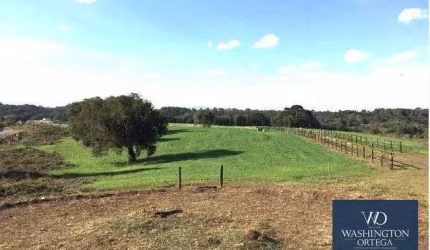 Área à venda, 20500 m² por R$ 2.665.000,00 - Campo Largo da Roseira - São José dos Pinhais/PR