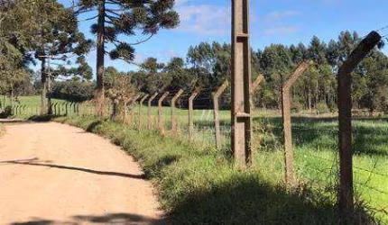 Haras à venda, 20000 m² por R$ 1.728.024,00 - Vila Susi - Piraquara/PR