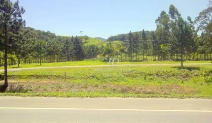 Área à venda, 173004 m² por R$ 20.000.000,00 - Centro - Santo Amaro da Imperatriz/SC