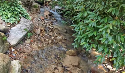 Chácara à Venda em Santo Amaro do Imperatriz!