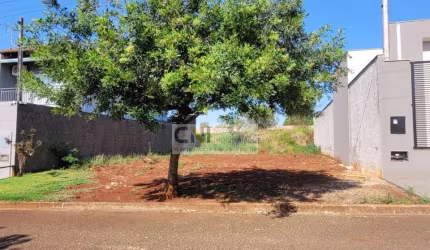 TERRENO : JARDIM RESIDENCIAL MALIBU - IBIPORÃ