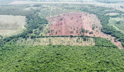 Fazenda Município de Prata/MG.