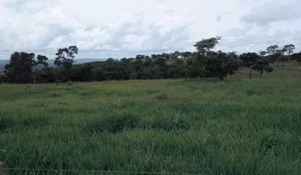 Fazenda Perto De Honorópolis/MG. Com 76 Alqueires.