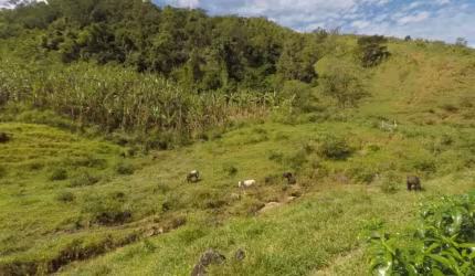 Fazenda à venda com 43 alqueires, Iguape - Guarapari ES