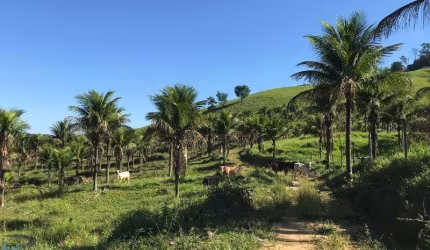 Sítio á venda em Pau D'Óleo em Guarapari-ES