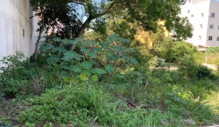Terreno À Venda em Nova Guarapari, Guarapari-ES