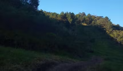 Sítio em Guapiara, 9,5 alqueires, casa simples, mangueira, bom de água.