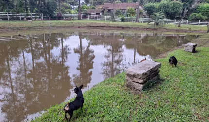EXCEPCIONAL CHÁCARA  PROXIMA A CURITIBA