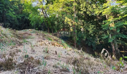 Terreno em condomínio fechado à venda no condominio Reserva do Itanhangá, Rio de Janeiro