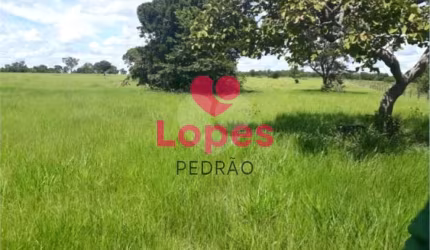 Sítio à venda em Zona Rural - SP