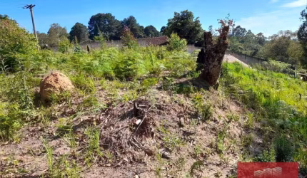 Terreno à venda, 1200 m² por R$ 220.000,00 - Parque Náutico - Mairiporã/SP