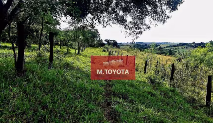 Terreno à venda, 151568 m² por R$ 5.900.000,00 - Avecuia do Alto - Porto Feliz/SP