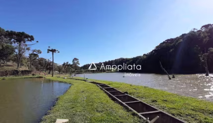 Área à venda, 72600 m² por R$ 1.750.000,00 - Palmitalzinho - Quatro Barras/PR