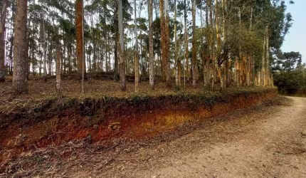 Chácara à venda, 20000 m² por R$ 360.000,00 - Zona Rural - Campina Grande do Sul/PR